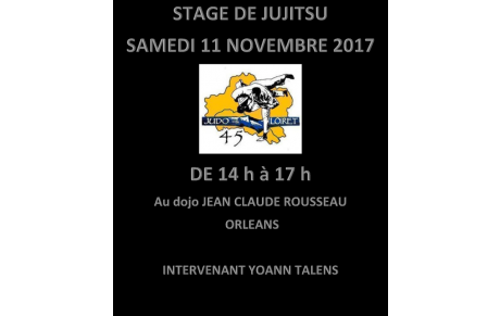 Stage départemental Jujitsu